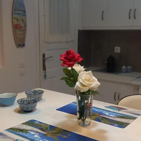 Blue Waves Mykonos Holiday home Kalo Livadi