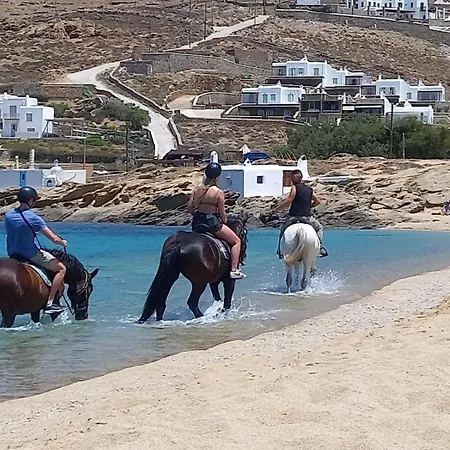 Holiday home Blue Waves Mykonos Kalo Livadi