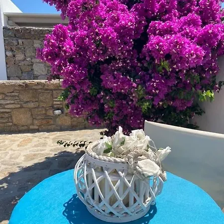 Blue Waves Mykonos Vakantiehuis *